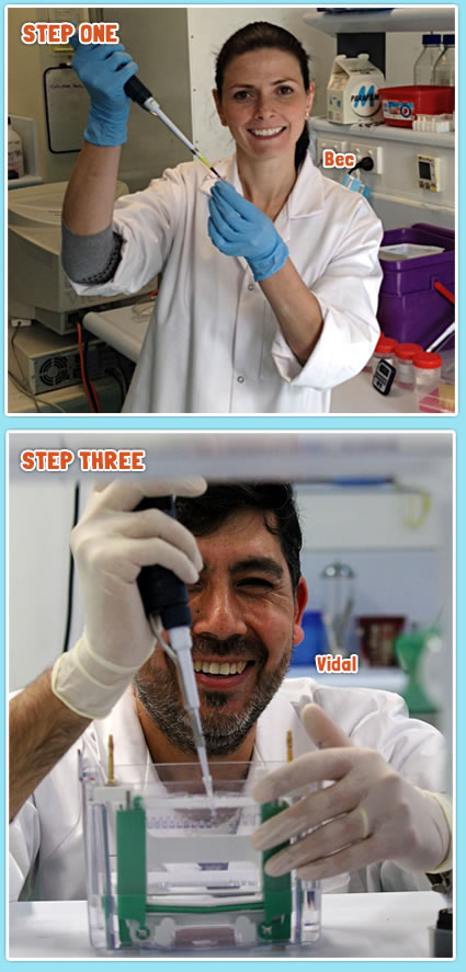 Step 1 and 3 Step 1 and 3