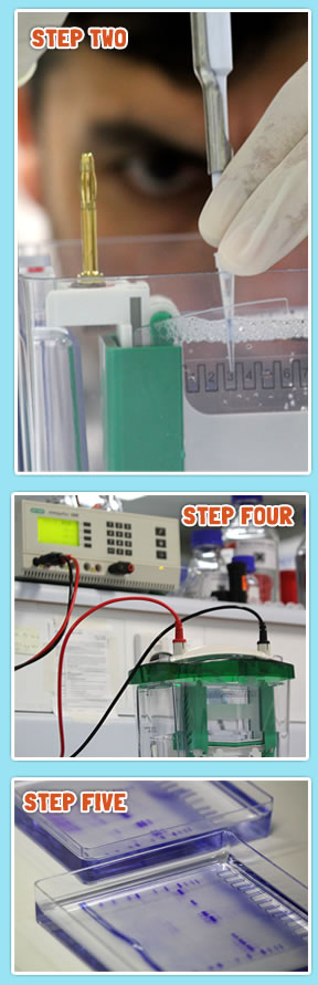 Step 2 and Step 4 and Step 5 Step 2 and Step 4 and Step 5