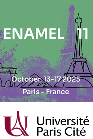 Enamel 11 pic and University of Paris logo